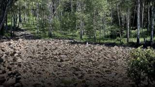 Seules les personnes dot&eacute;es d'une tr&egrave;s bonne vue parviennent &agrave; rep&eacute;rer la femme cach&eacute;e dans les rochers
