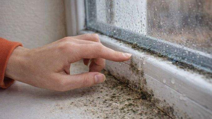 Vos fen&ecirc;tres sont pleines d'humidit&eacute; ? L&rsquo;erreur que beaucoup font (et la solution qui change tout)