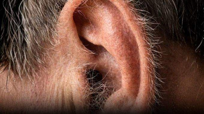 Ce que vos poils d&rsquo;oreilles r&eacute;v&egrave;lent sur votre sant&eacute;