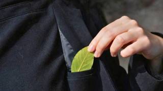 J'ai mis une feuille de laurier dans ma poche - et je n'ai plus aucun souci : ma grand-m&egrave;re m'a appris ce truc