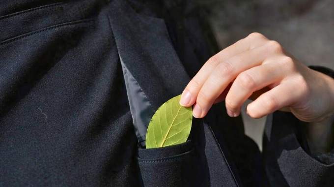 J'ai mis une feuille de laurier dans ma poche - et je n'ai plus aucun souci : ma grand-m&egrave;re m'a appris ce truc