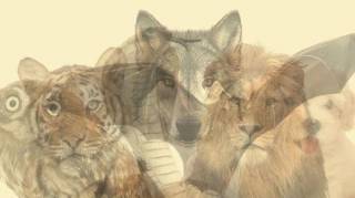 Le premier animal que vous verrez sur cette image r&eacute;v&eacute;lera qui vous &ecirc;tes