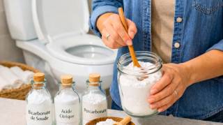 Mes WC sont d'une blancheur &eacute;clatante sans frotter gr&acirc;ce &agrave; cette poudre express faite en 2 minutes