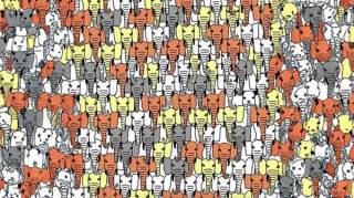 Pouvez-vous rep&eacute;rer le panda cach&eacute; parmi les &eacute;l&eacute;phants  Essayez ce casse-t&ecirc;te viral