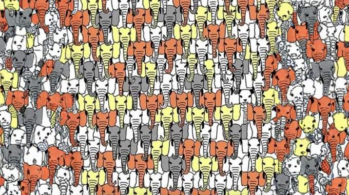 Pouvez-vous rep&eacute;rer le panda cach&eacute; parmi les &eacute;l&eacute;phants  Essayez ce casse-t&ecirc;te viral