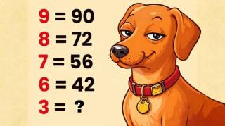 Saurez-vous r&eacute;soudre ce casse-t&ecirc;te math&eacute;matique qui mettra vos comp&eacute;tences &agrave; rude &eacute;preuve