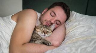 Un chat dort avec son humain pour une raison bien pr&eacute;cise : les principales explications et les points &agrave; surveiller