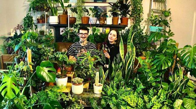 Voici ce que signifie avoir beaucoup de plantes chez soi, selon la psychologie