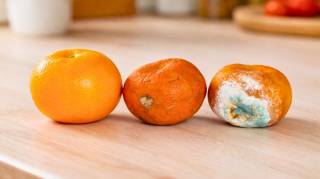 Vos mandarines ou cl&eacute;mentines se conservent-elles mieux au frigo  Voici la r&eacute;ponse d&eacute;finitive