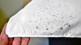 Comment enlever des taches de moisissure sur du tissu  5 astuces de grand-m&egrave;re qui marchent