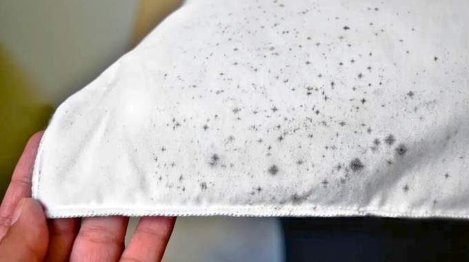 Comment enlever des taches de moisissure sur du tissu  5 astuces de grand-m&egrave;re qui marchent