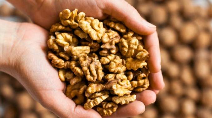 Des m&eacute;decins r&eacute;v&egrave;lent que manger des noix tous les jours provoque ces 7 changements dans votre corps