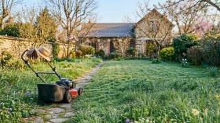 Pelouse : cette erreur de premi&egrave;re tonte que tout le monde fait au soleil de mars peut ruiner votre gazon