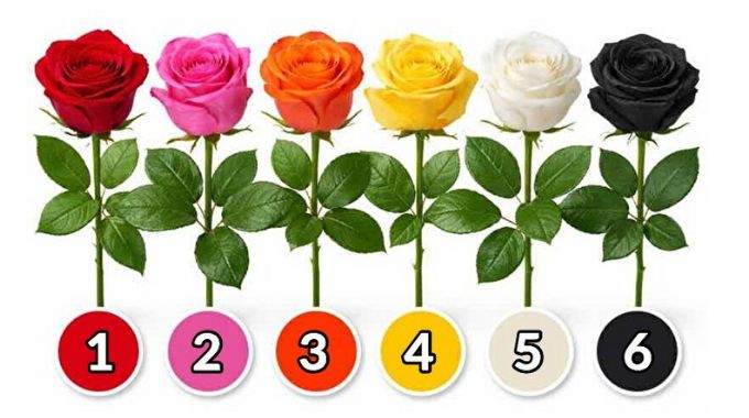 Choisissez une rose et d&eacute;couvrez quel genre de femme vous &ecirc;tes vraiment