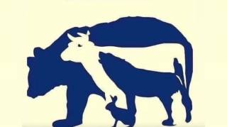 Combien d'animaux vous voyez sur cette image  Moi j'en vois 5 et vous