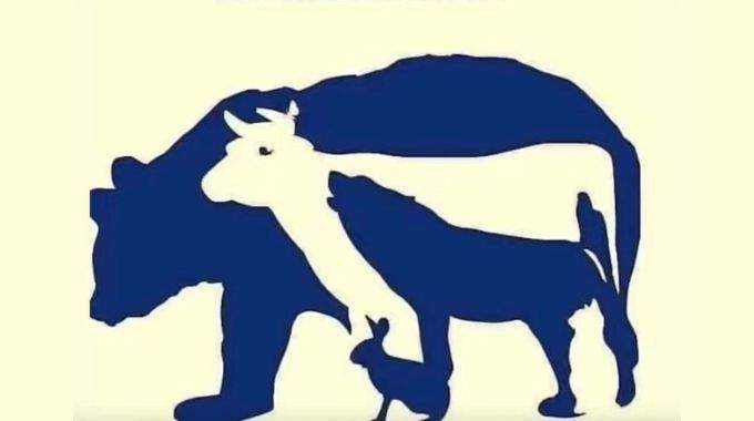 Combien d'animaux vous voyez sur cette image  Moi j'en vois 5 et vous