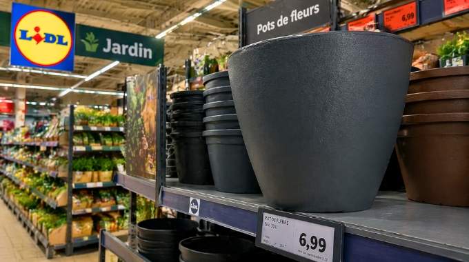 &ldquo;Je ne pensais pas que &ccedil;a ferait autant d&rsquo;effet&rdquo; : avec ses 30L ce pot Lidl transforme votre balcon pour moins de 7 &euro;