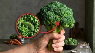 Laver les brocolis &agrave; l'eau claire est une erreur : voici la bonne m&eacute;thode