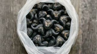 Mes voisins &eacute;trangers m'ont donn&eacute; &ccedil;a en me souhaitant un bon repas mais c'&eacute;tait quelque chose de dur