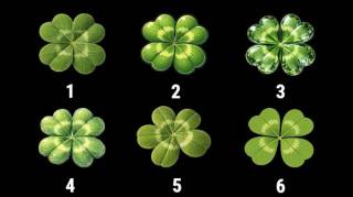 Ne trichez pas : trouvez l'intrus parmi ces 6 tr&egrave;fles et d&eacute;couvrez &agrave; quel point vous avez de la chance