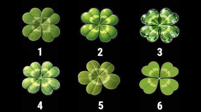 Ne trichez pas : trouvez l'intrus parmi ces 6 tr&egrave;fles et d&eacute;couvrez &agrave; quel point vous avez de la chance