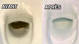 L'astuce pour d&eacute;tartrer le fond de la cuvette des WC sans effort