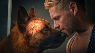 SI VOTRE CHIEN VEUT DORMIR DANS VOTRE LIT LA RAISON POURRAIT VOUS SURPRENDRE