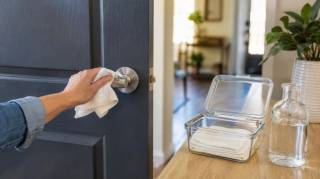 Une m&eacute;thode simple pour d&eacute;sinfecter les poign&eacute;es de porte en profondeur surtout si vous recevez &agrave; la maison