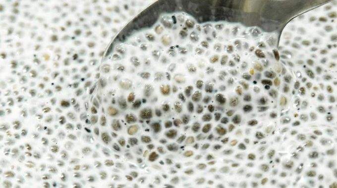 Ils pr&eacute;viennent le risque de maladie d'Alzheimer diminuent le cholest&eacute;rol et vous aident &agrave; perdre du poids