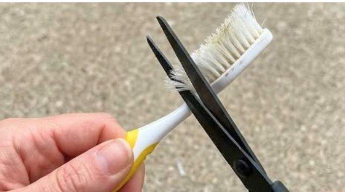 Vous ne jetterez plus jamais votre vieille brosse &agrave; dents apr&egrave;s avoir vu cette astuce incroyable