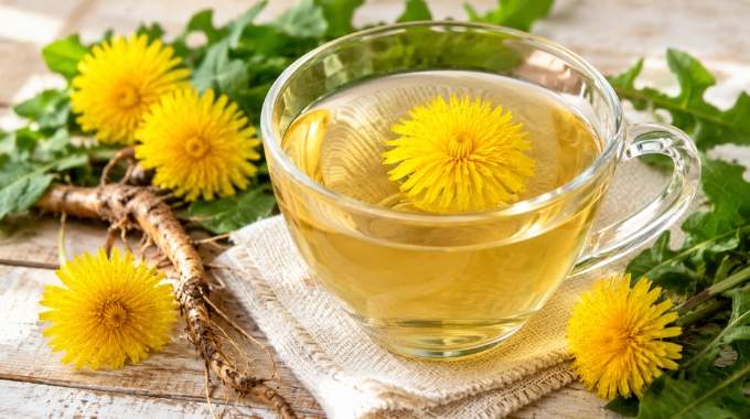 La tisane de pissenlit donne plein d'&eacute;nergie ! Voici comment la pr&eacute;parer et tous ses bienfaits