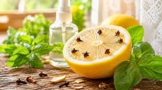 Mouches dans la maison : ces 10 astuces de grand-m&egrave;re les font fuir naturellement sans aucun produit chimique