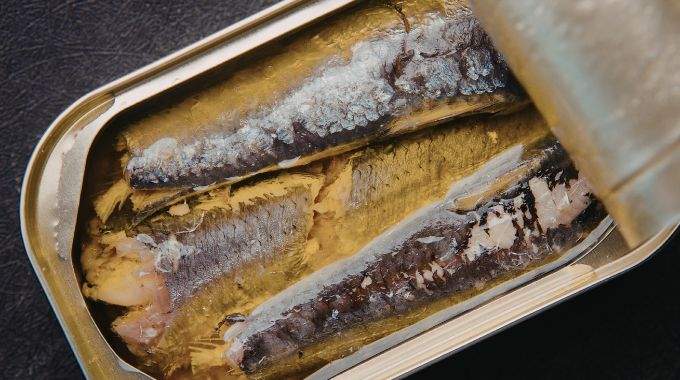 Les sardines les moins ch&egrave;res sont aussi les meilleures : les experts en nutrition recommandent ces conserves-l&agrave;