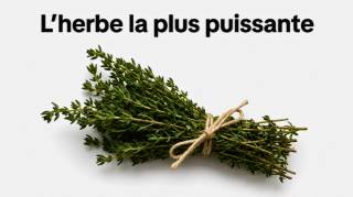 L'herbe la plus puissante qui d&eacute;truit les parasites les infections urinaires et de la vessie l'herp&egrave;s les virus le candida
