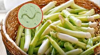 L'un des l&eacute;gumes les plus charg&eacute;s de parasites Pourtant beaucoup de gens le mangent cru sans en conna&icirc;tre les risques