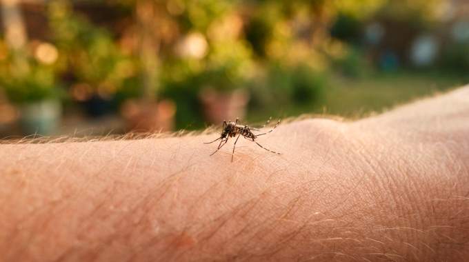 "Peaux &agrave; moustiques" : on sait enfin pourquoi vous vous faites tout le temps piquer