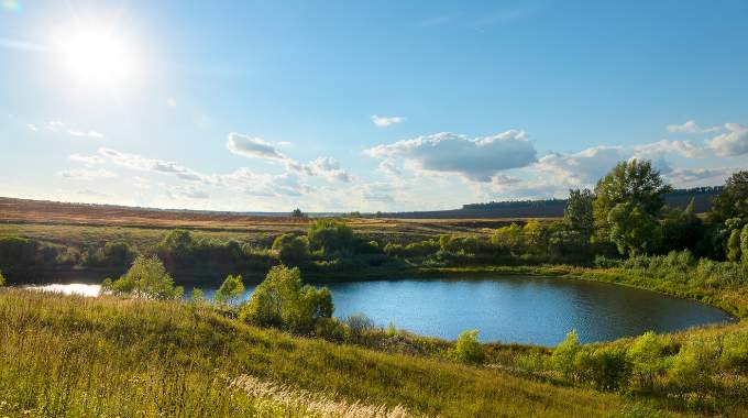 Ils laissent une ferme de 617 hectares &agrave; la nature : 5 ans apr&egrave;s ce bond de biodiversit&eacute; sid&egrave;re les scientifiques