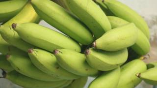 Recettes : 4 astuces pour utiliser des bananes vertes