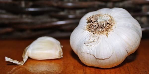 Saviez-vous que l'ail est bon pour la santé et renforce votre système immunitaire ?``