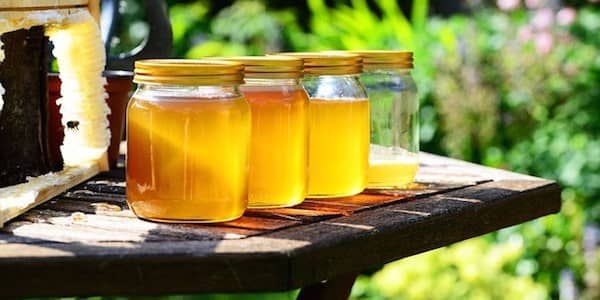 Le miel possède-t-il des bienfaits pour l'organisme ?