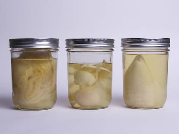 des bocaux de specimens pour halloween