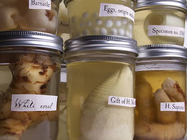 empilement de bocaux de spécimens pour halloween