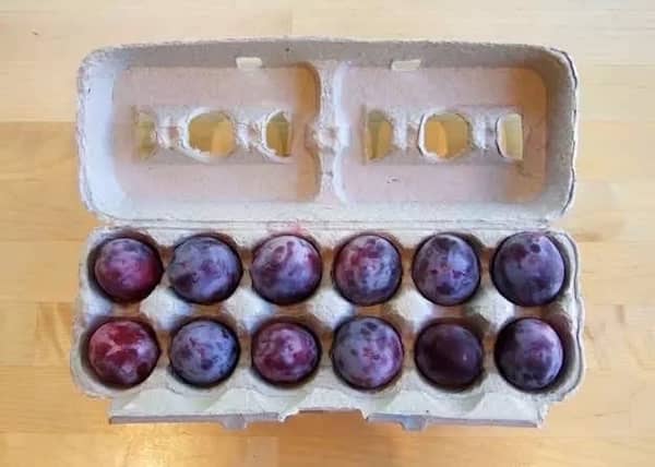 une boite d'oeufs pour protéger des fruits