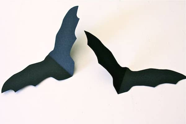 collez les chauve souris sur  un mur