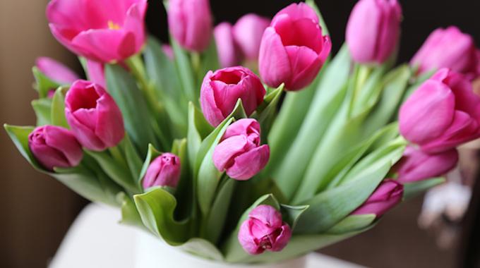 2 Astuces Pour Conserver un Bouquet de Fleurs Plus Longtemps.