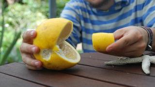 comment conserver citron facilement