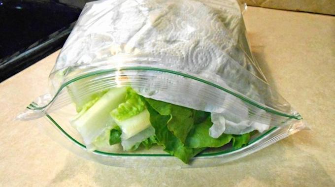 L'Astuce Géniale Pour Conserver de la Salade au Frigo Plus Longtemps.