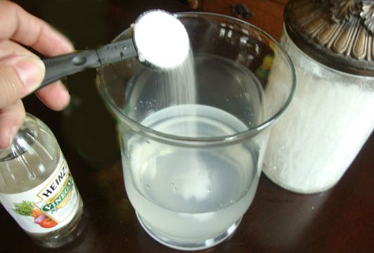 conserver fleur coupée avec vinaigre et sucre