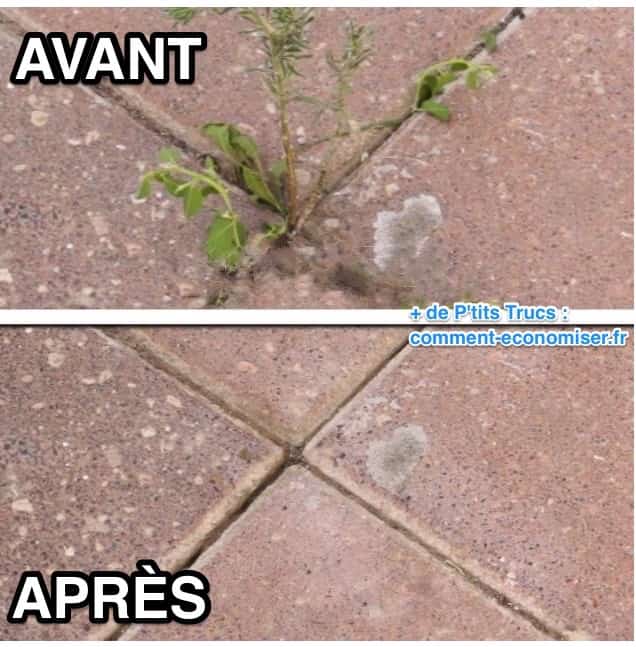 désherber allées avec du vinaigre avant après