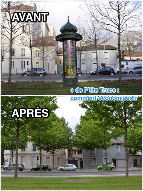 toutes les publicités ont été supprimées à Grenoble